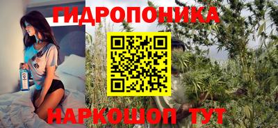 эйфоретик Баксан
