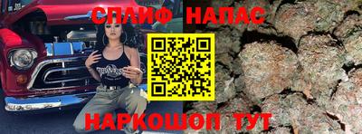 гидра Ачхой-Мартан