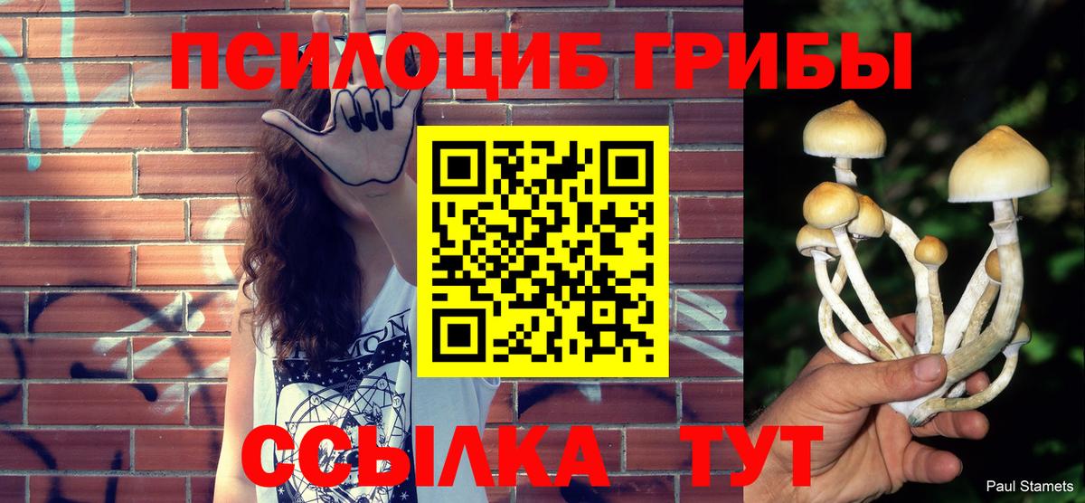Псилоцибиновые грибы Psilocybe Ангарск